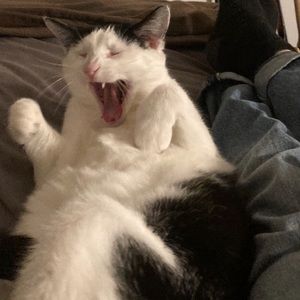 Meet your Posher, Brittney